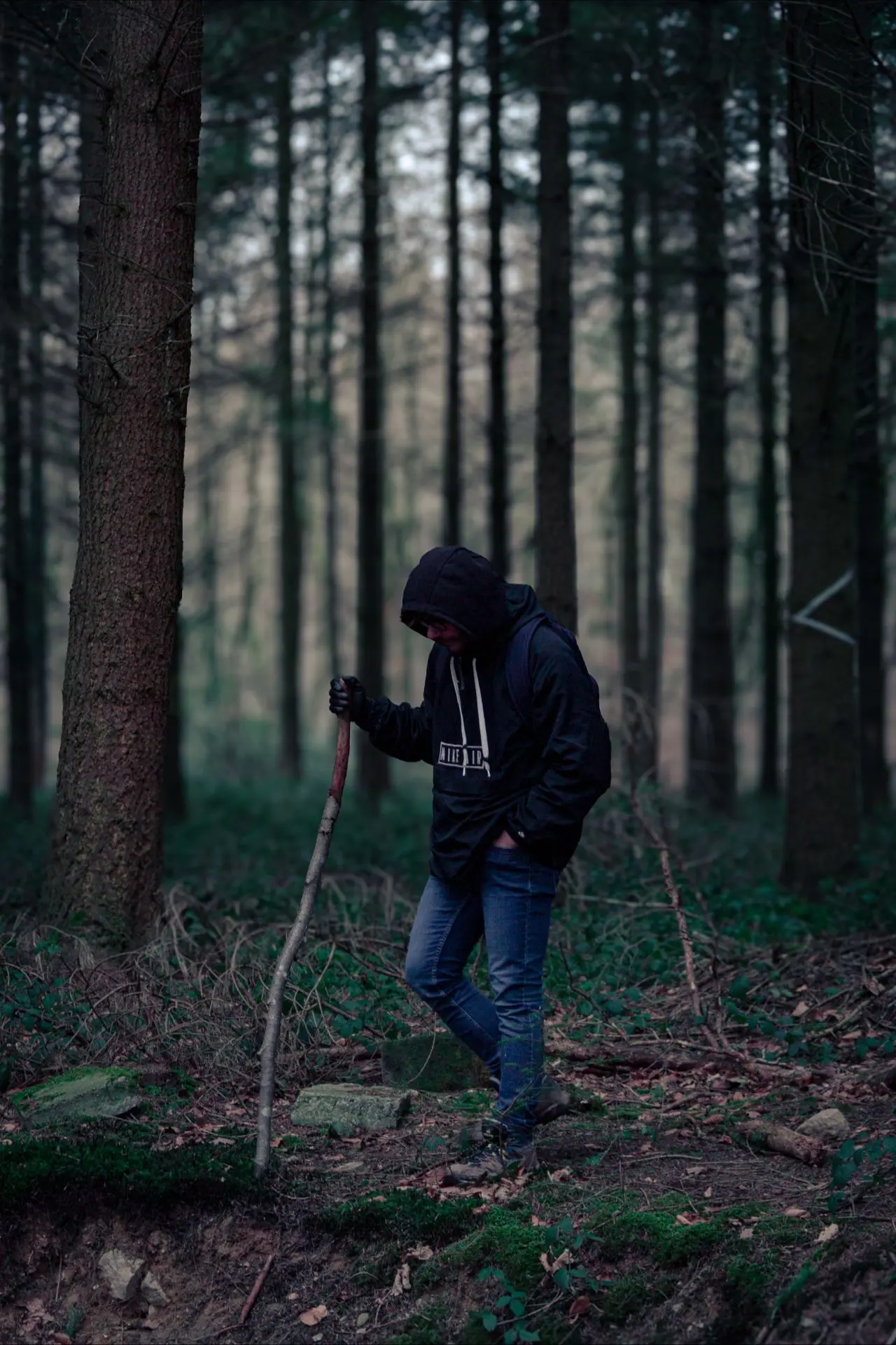 Portait d'une personne qui marche dans la fôret