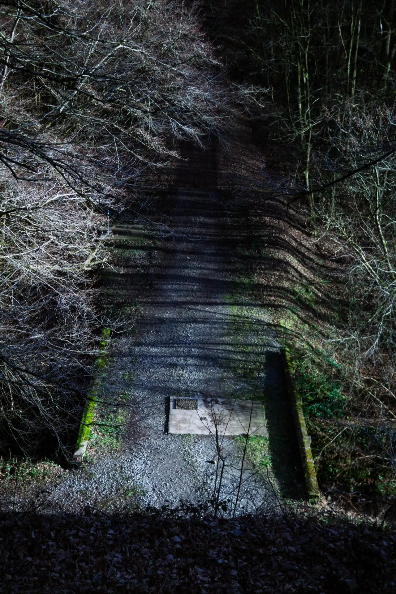 Photo vue du dessus d'un petit pont en pierre dansla foret